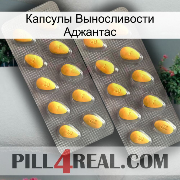 Капсулы Выносливости Аджантас cialis2.jpg